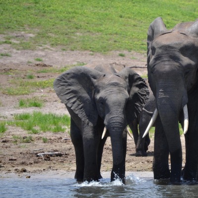 family drinking water